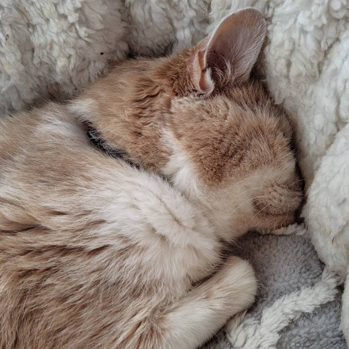 Ae927ad1 f703 4c62 a520 c18667f6f82c 1750571514947