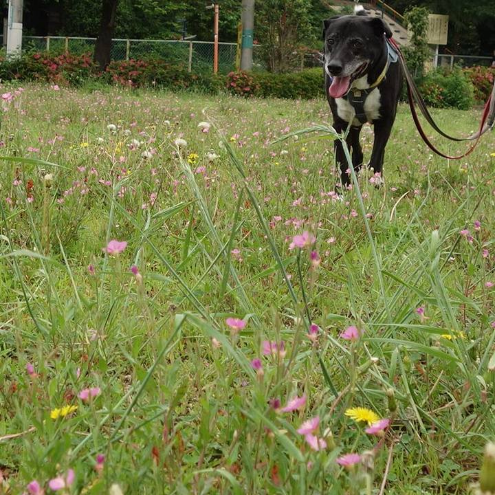 Ae9285a3 06cb 41ac ae8e b730bf415b50 1747875400510