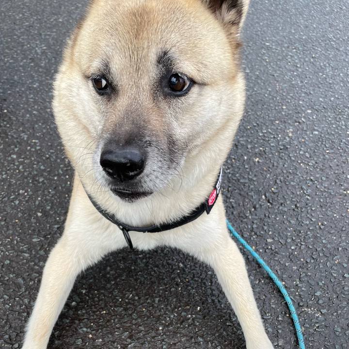 Ae93018a 9297 45f3 a794 8604ce697e9c 1718976325935