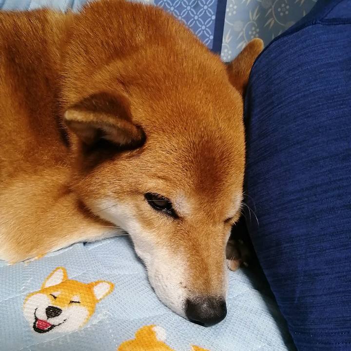 Ae938d12 9c53 4329 9c03 d40e66af7673 1601726973005