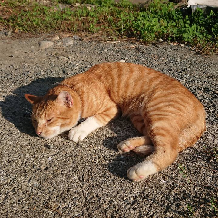 Ae93f5c8 ba04 4984 8152 2dbd28be2de2 1567908154173