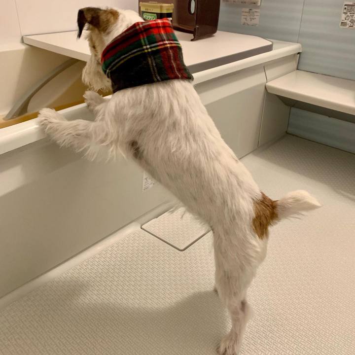 Ae9406e9 a173 49ae a717 a9b3dbe0a827 1668950780073