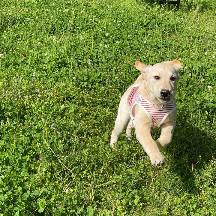 Ae9409e4 5587 4cfd 844e 7fbb7f7d1954 1617956596969