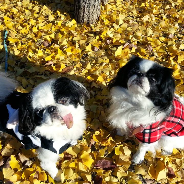 Ae94309d 19c7 4588 87a1 abd61ee9a685 1636003276605