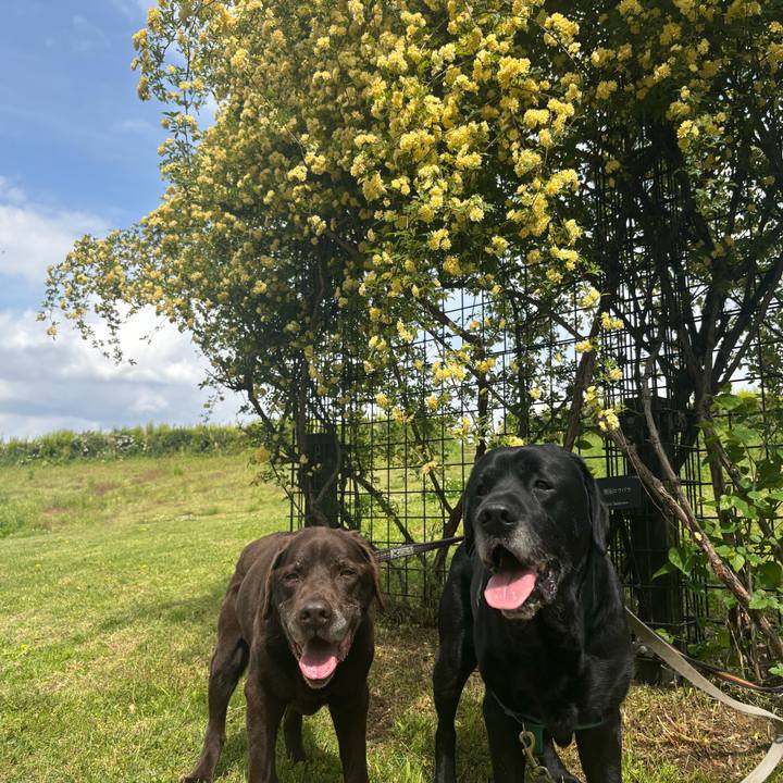 Ae9445c9 782a 4090 b05d 739e90ed7698 1777288697894