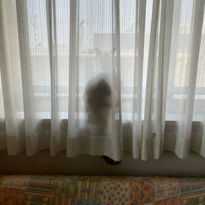 Ae945588 eebd 426e 97f7 ba95fb5896ba 1618198767066