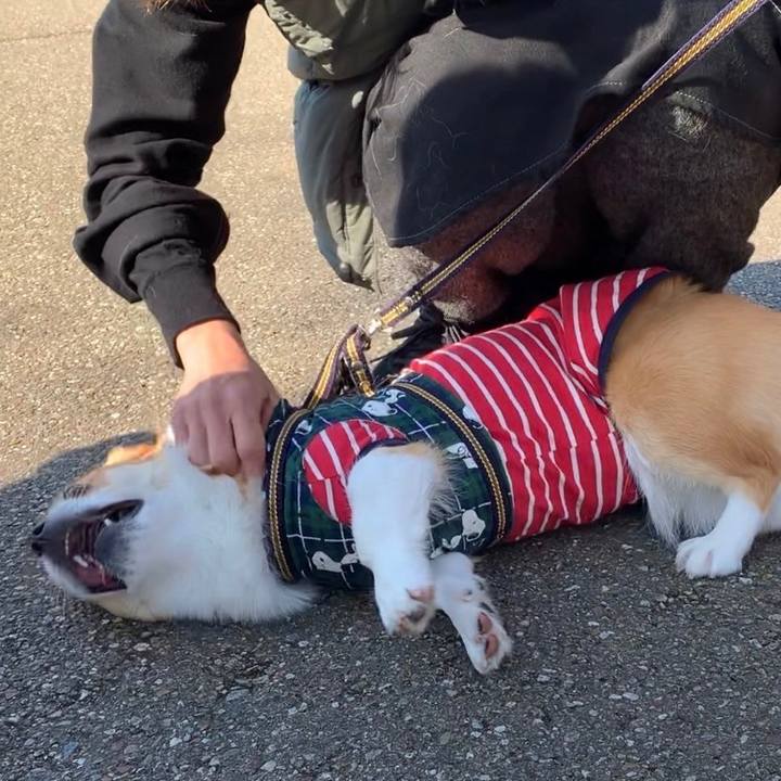 Ae94a09a 4d4d 4344 9867 563004a2b5b6 1639307396258