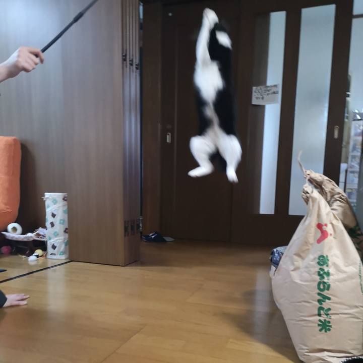 Ae94a6ff bf3e 4b63 993a 0f7c15c09692 1578886671955