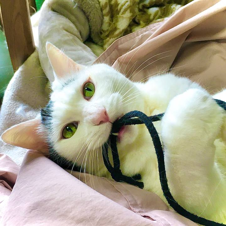 Ae94c451 31f7 428a 8d55 dbfb617a527c 1607485060614