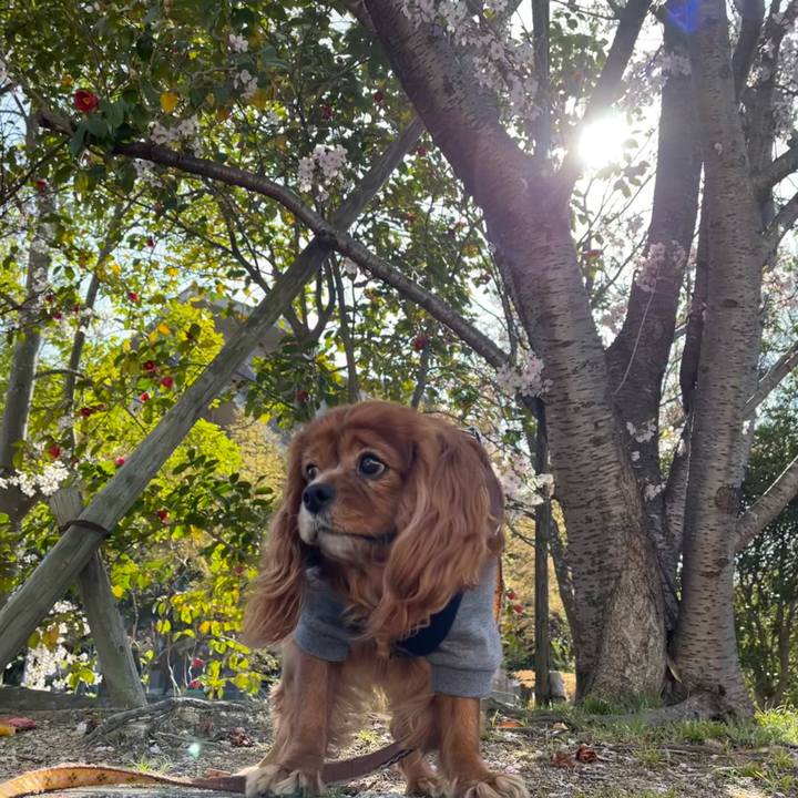 Ae94e880 d89f 42b4 a1b8 3e5f47f8eeae 1680310228324