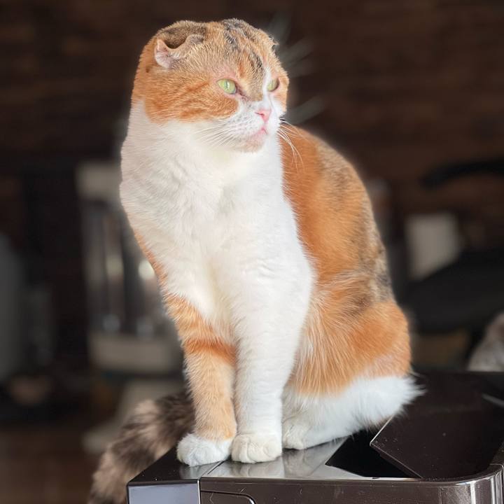 Ae9526d9 296b 48ac 8ecb b5b05fe13f3c 1703822730458