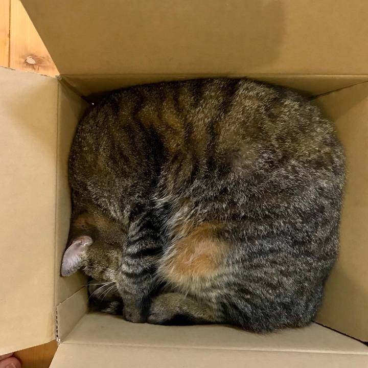 Ae9548bc d537 461c a258 224b2016caa8 1591793610867