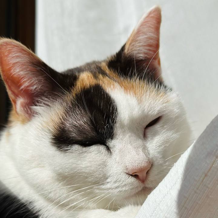 Ae95508d 7ba6 4d9a 823d c073db789248 1679707923561