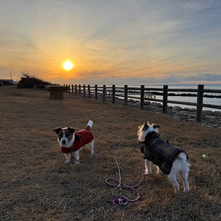 Ae957a1a d7f5 4f76 867b c76c3f0e4a30 1738483340331