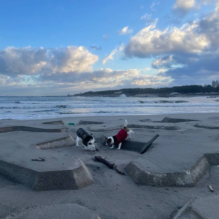 Ae95ad4e 77fc 42e2 b23c c5d76d7e1a06 1705447801646