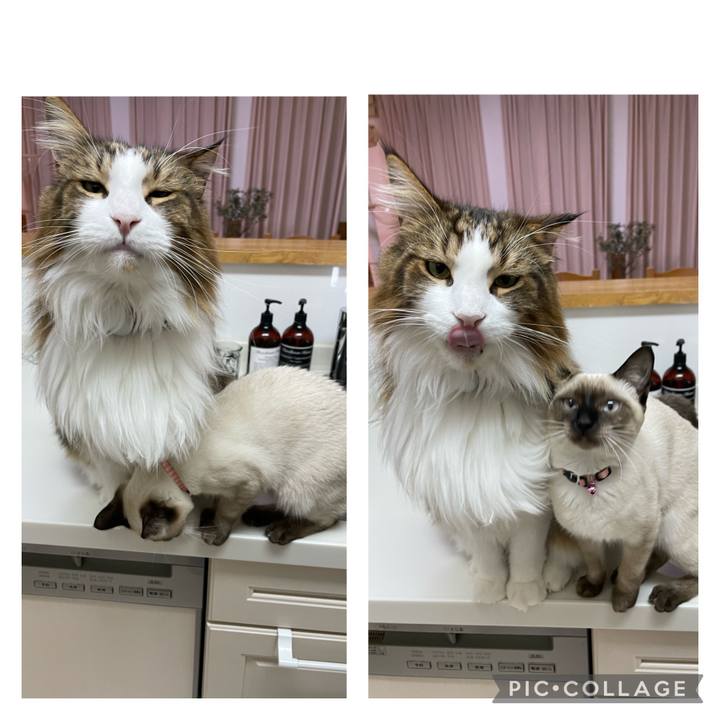 Ae95b966 77e2 4f5b 8a43 2f59c7096ef4 1699558907142