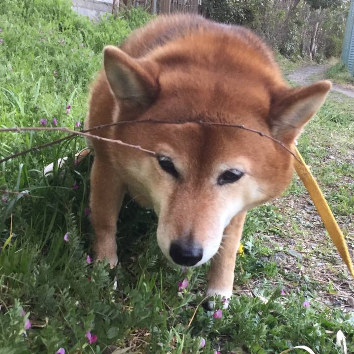 Ae95ceaa 1903 458b 932c 3c9b79feaef5 1554368901810