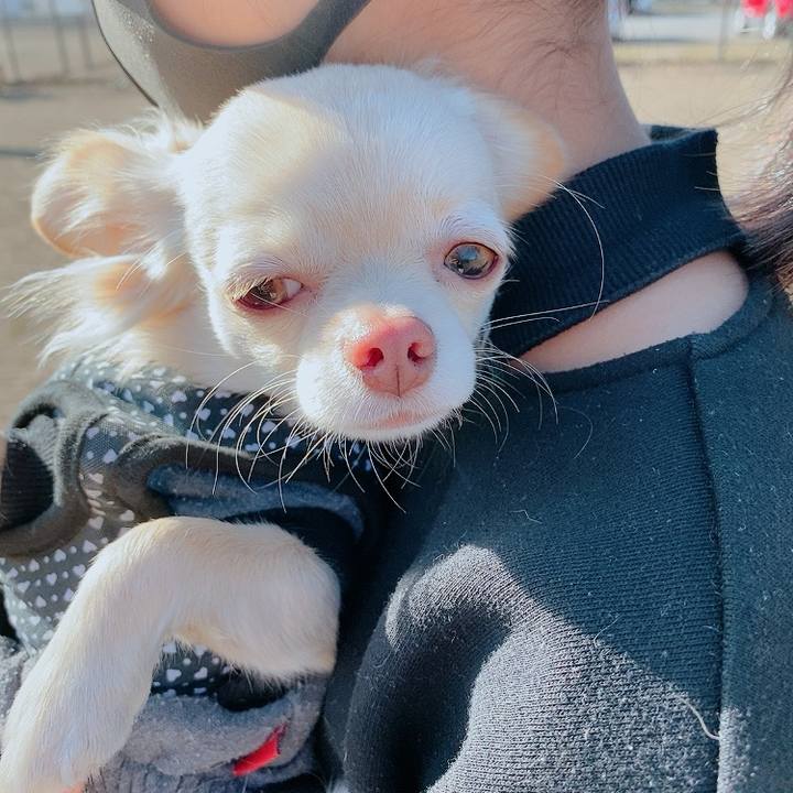 Ae960ec2 4b1f 41d2 9f96 ba5616a75c67 1609652850750