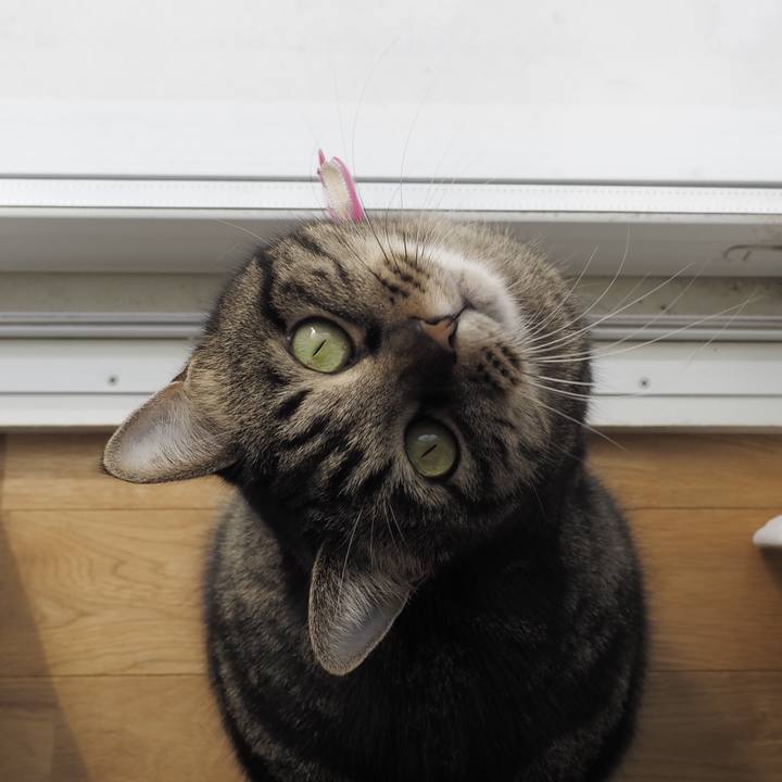 Ae9614de a2a7 4258 9584 6d2cd4134f9a 1644584603316