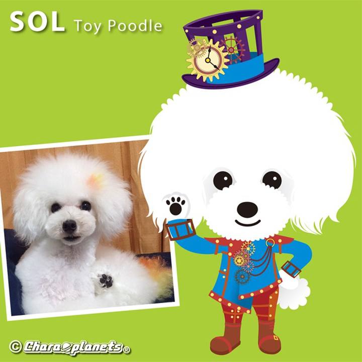 Ae961a30 9c02 4c09 b356 cb6d5c121aaa 1557734032592