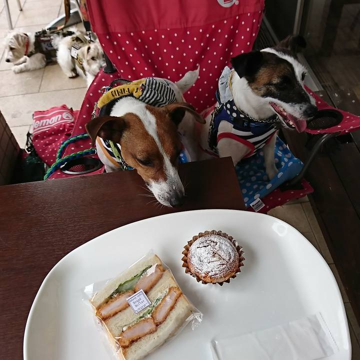 Ae961f61 04c5 4fe5 9952 cf5b12180c8f 1589782917310