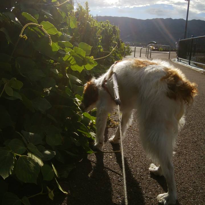 Ae9636a2 1e63 4fc9 bd41 f0bc6ba5e390 1532908143961