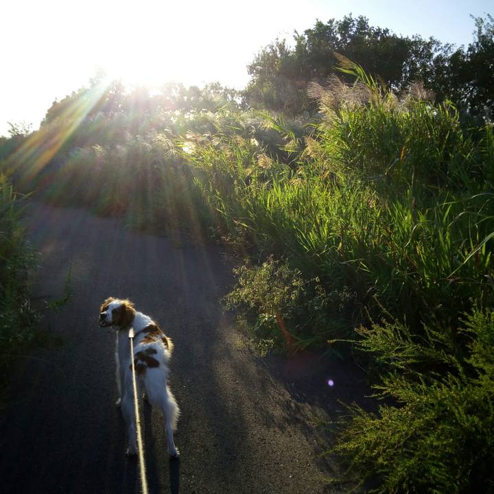 Ae963bde fefd 4688 a1c5 d6fda5fb46ac 1510488530442