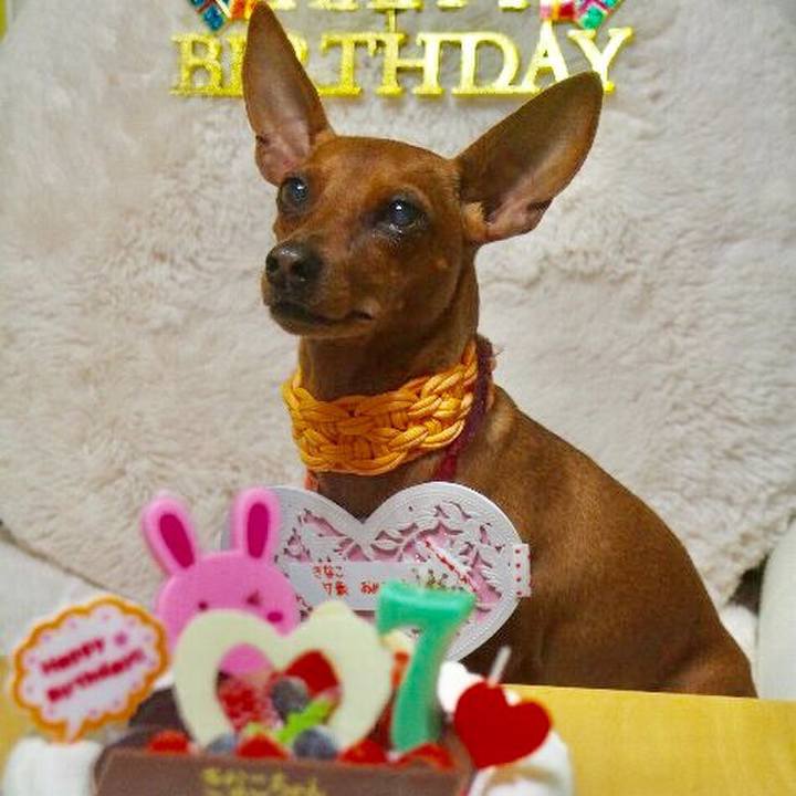 Ae966abd 64c2 451d 94f8 5c36928cdd2e 1537106568996