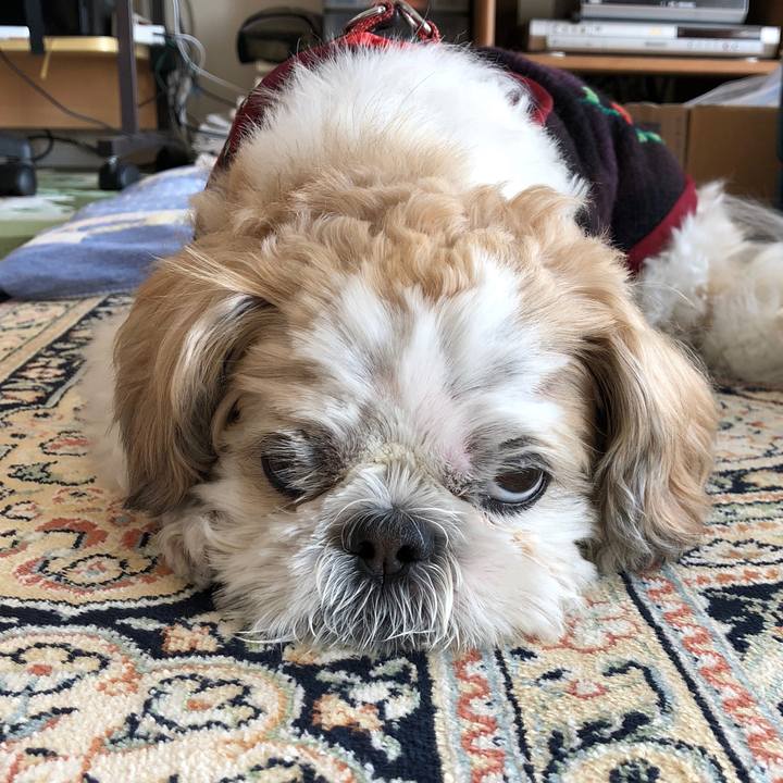 Ae96853f f2fd 4a7a af23 87d24ad2aab4 1573508967413