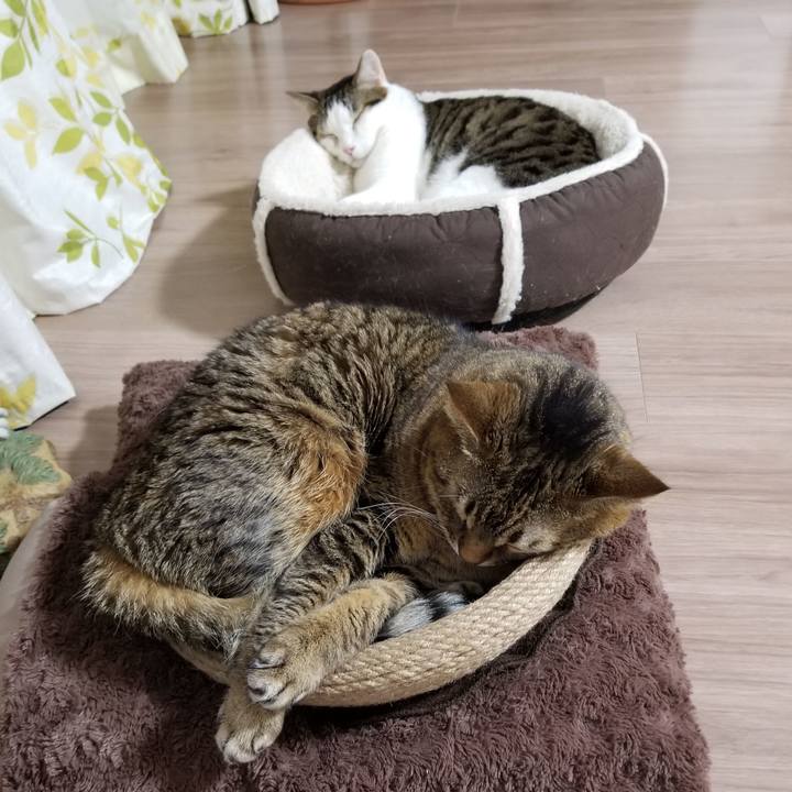 Ae968f40 cd33 49ca a116 3d3338cb20d6 1612095788110