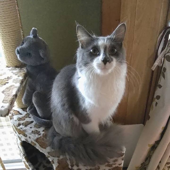 Ae96acb0 c56c 4f0f 95b5 5f5b1eb72744 1571833878656