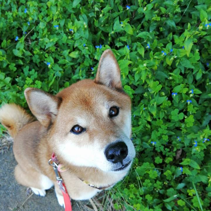 Ae96c87e 5f54 45f9 930d 551b65296761 1601424119494