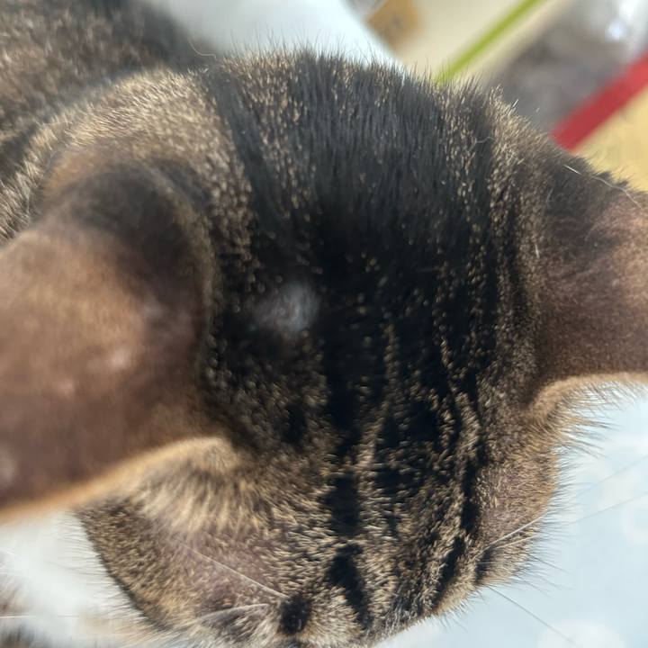 Ae972c9e 7667 405c 91ca ef536c28b41f 1757897553077