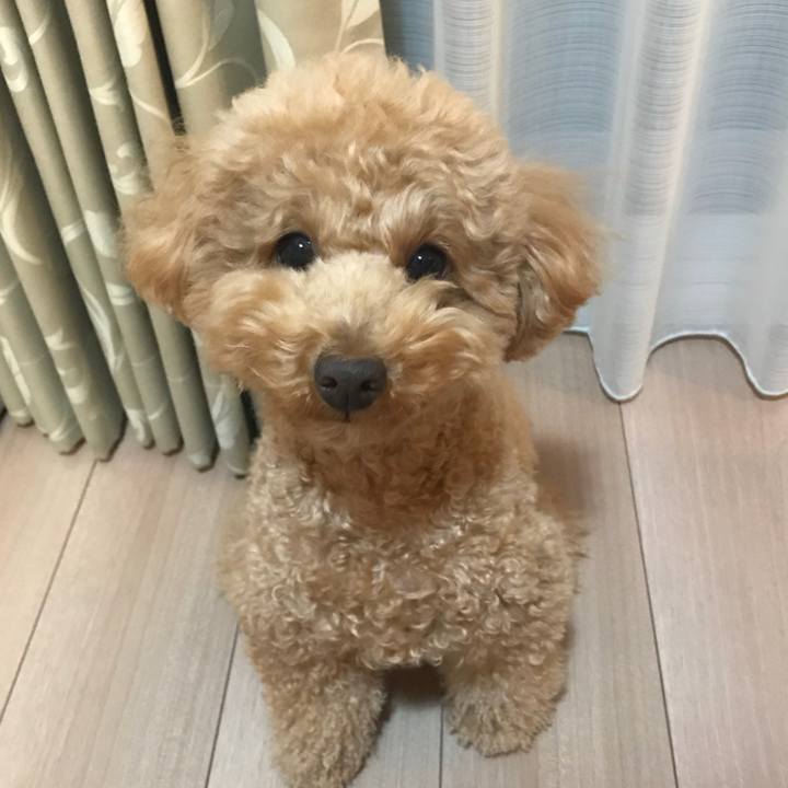 Ae97b0db 63f8 49a4 a3a0 a8f71cee5730 1517911542725