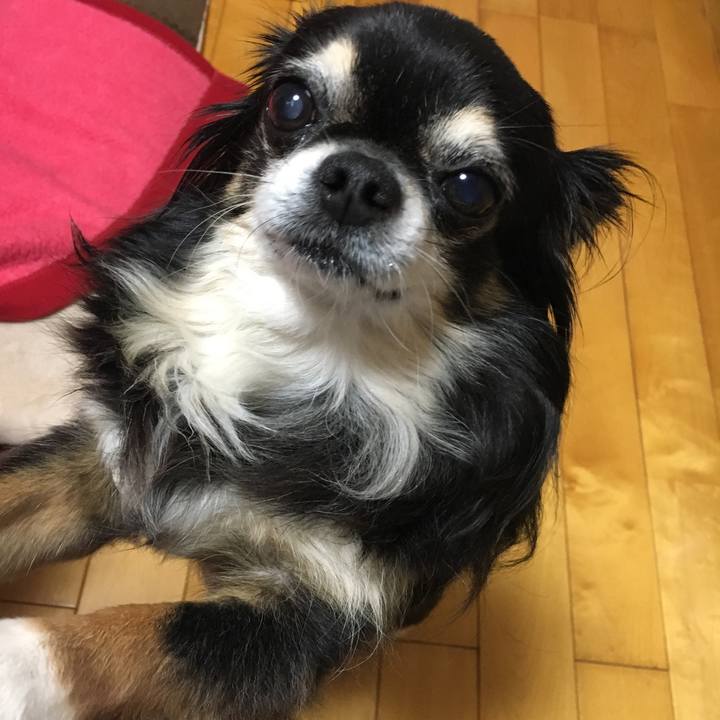 Ae97ba10 e281 4f5f bd05 6b118d474e0a 1511435545060