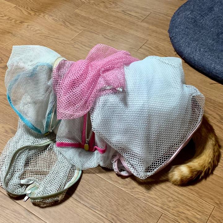 Ae97f307 8074 4500 8901 278ed01f0f54 1564061659820