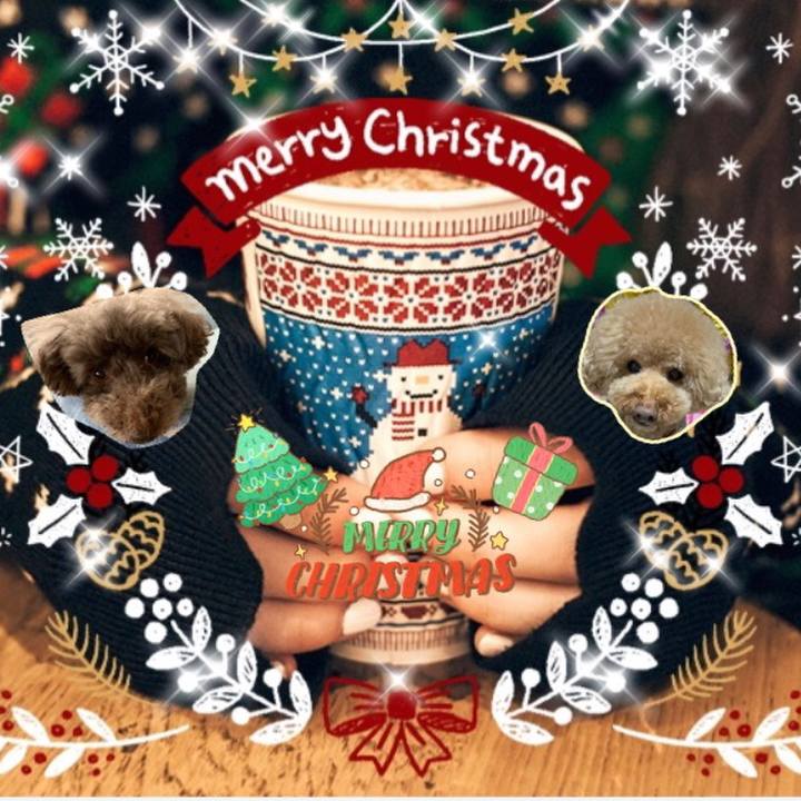 Ae97f92b 4572 4132 b620 d36d65a1572b 1608800648768