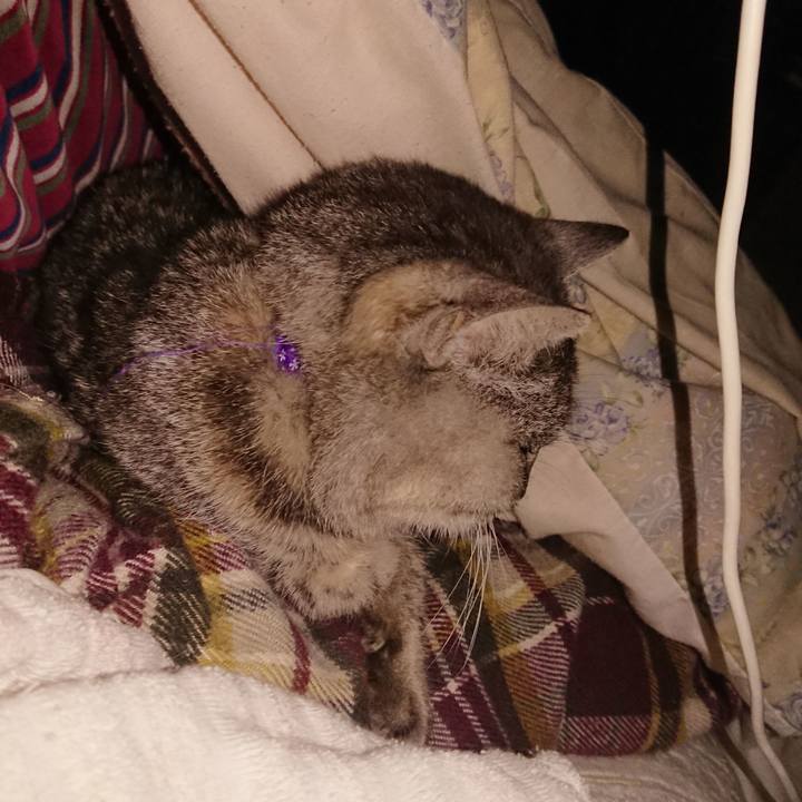 Ae9838f8 2e18 484d 9718 591f7967b9b7 1580488429154