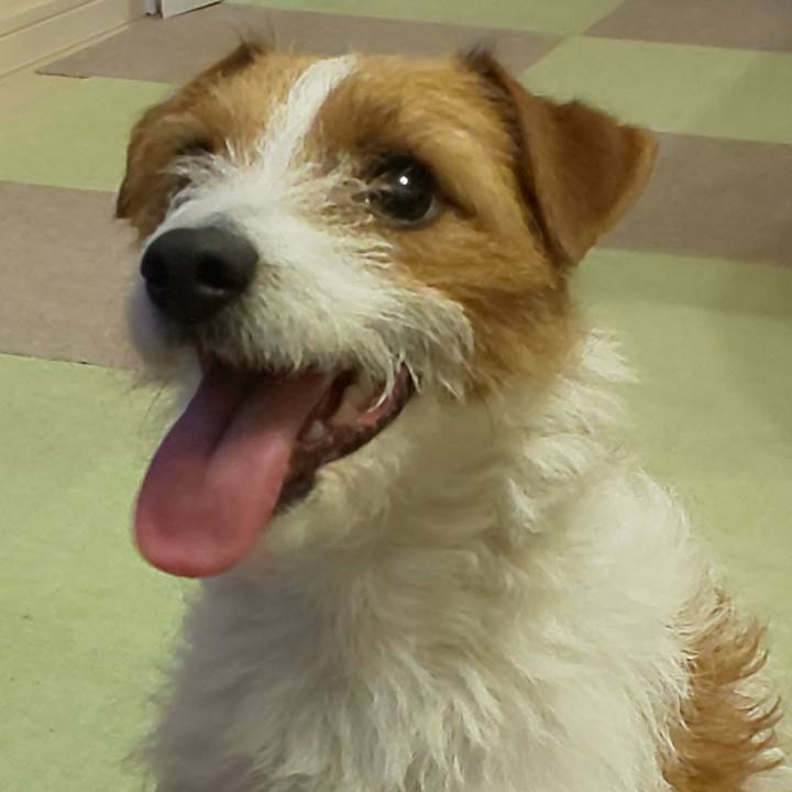 Ae98509d 5b97 40df bbc4 0ee3e69cf171 1550669271718