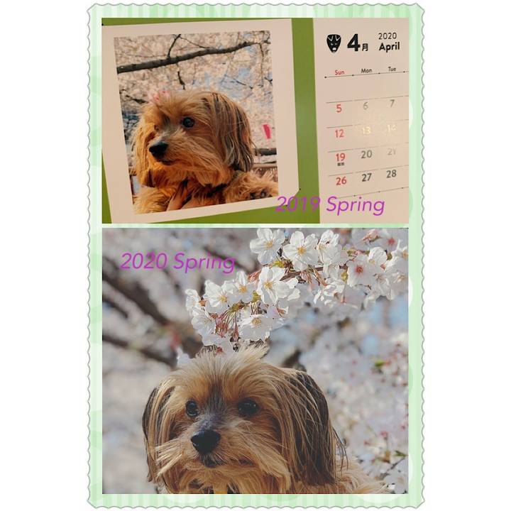 Ae985421 a8f0 41ae afb3 820d635a283e 1585950799074