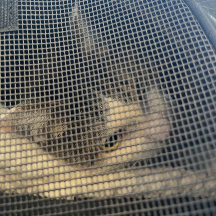 Ae98b380 35e0 4e2b aeb7 51402b0449f5 1767336331221