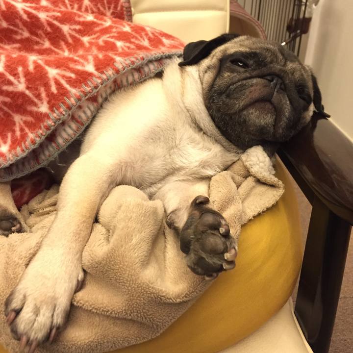 Ae98c7e8 61b7 4686 a7c9 5419ca9ad7d8 1517440481539