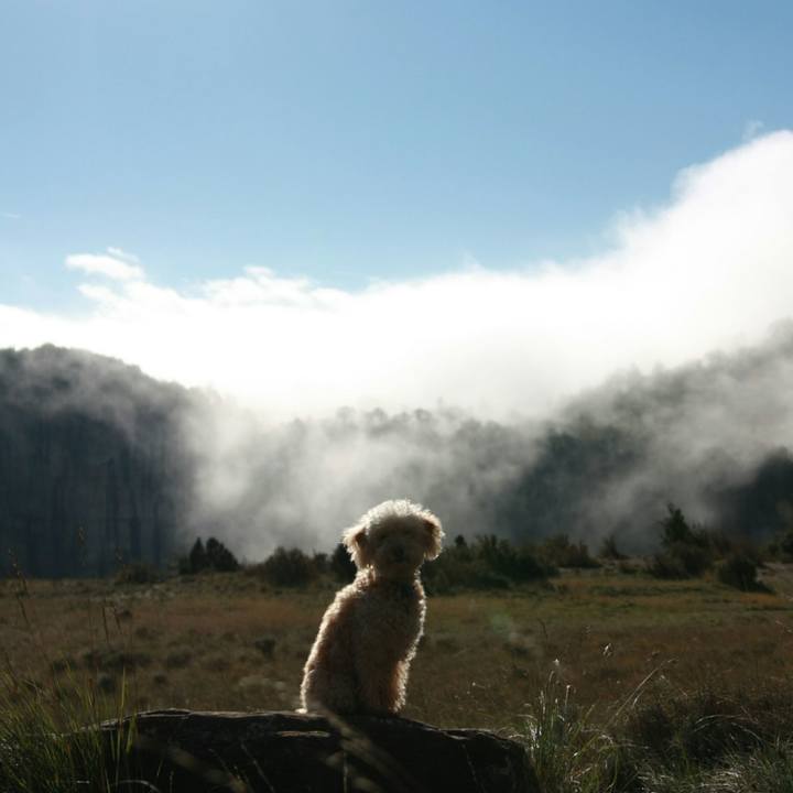 Ae98f1dc dfc3 4012 99c4 f29c96071226 1543187608639