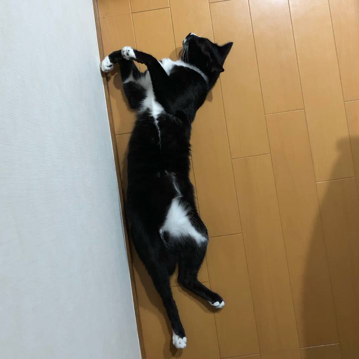 Ae991eaa 6f42 43e9 8246 f89268f2333a 1569469696894