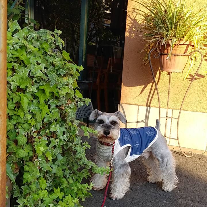 Ae992a8a c03c 4404 b1d9 0e9b15b62b70 1590705509771