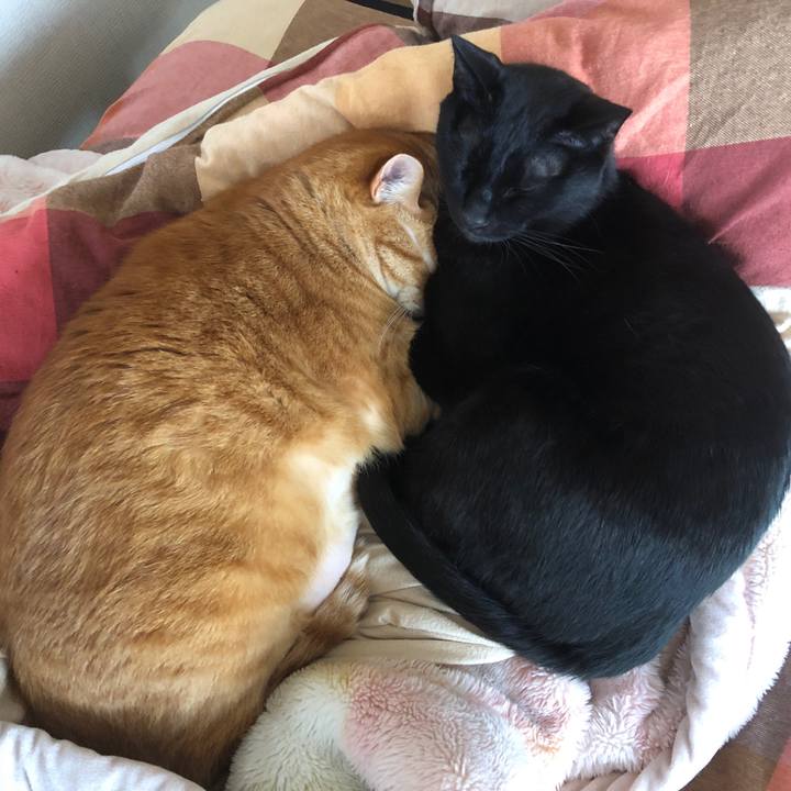 Ae994849 c5cc 4afe 9f1a 141d7a9391cf 1713569171994