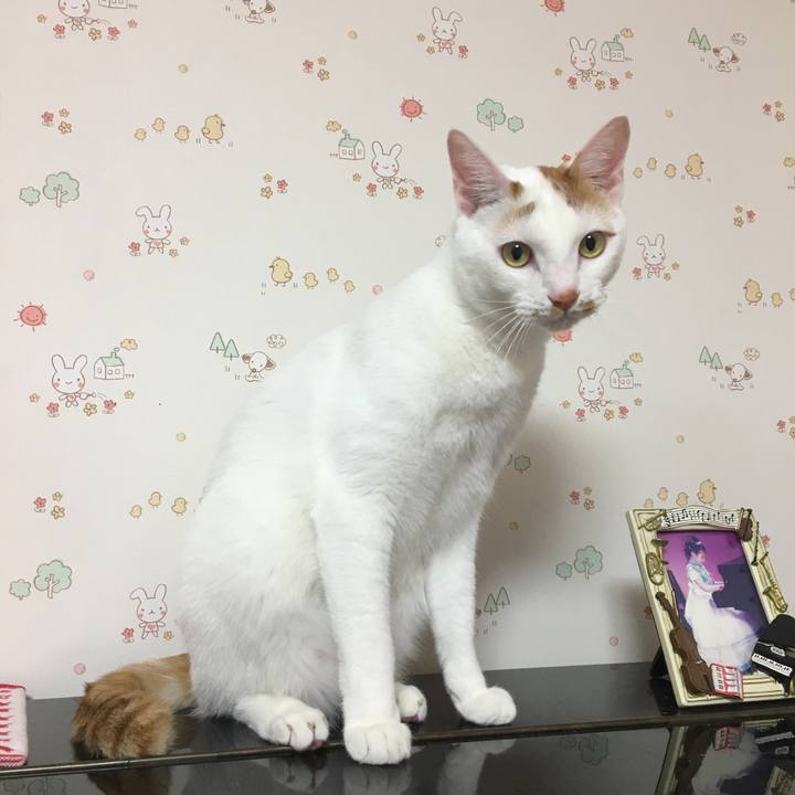 Ae9967a4 51ab 420f 914d 3c18cb7fea2f 1526108820870