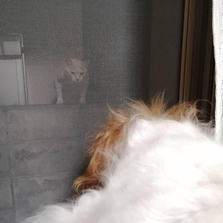 Ae99c43c a455 4d6f a9af 6e59d8606514 1622632996049