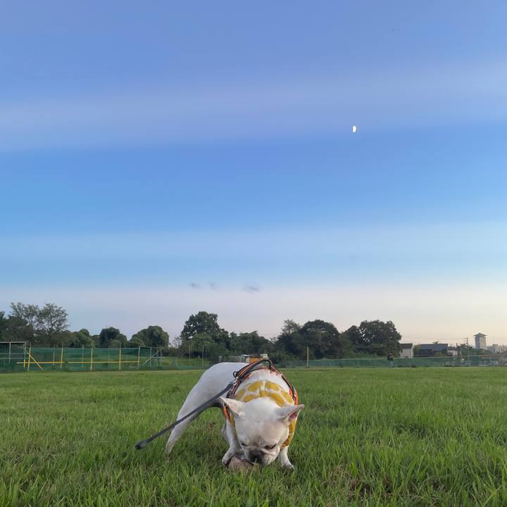 Ae99d3fe 26d2 4460 b816 370a4c4a8efe 1726140631011