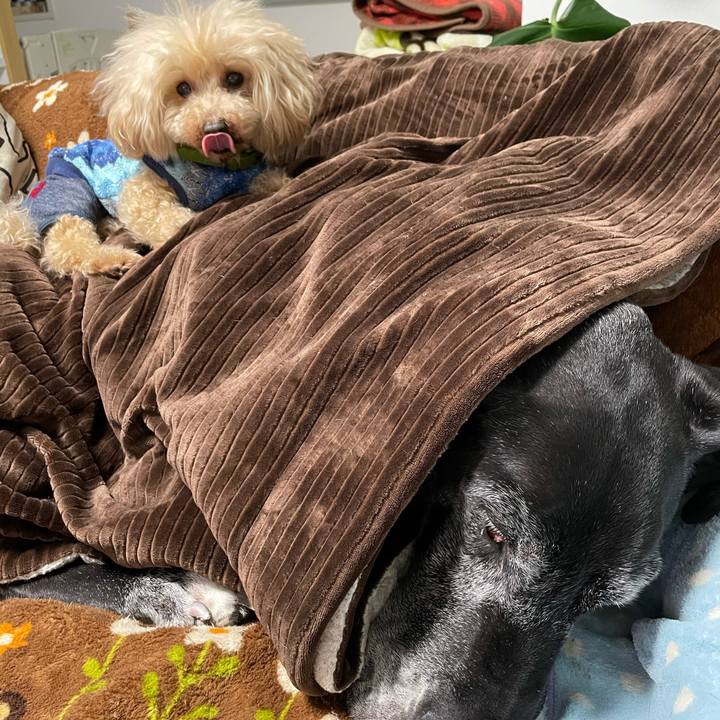 Ae9a5aac 09d1 4298 9bf7 1d503a5eff99 1614043164764